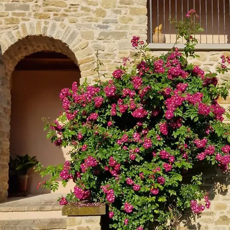 La Finestra Sul Borgo Appartement Belforte allʼIsauro